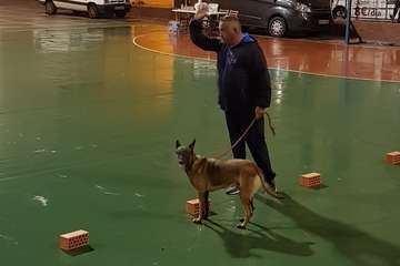 Marpequeña, sede de un campeonato de Detección Deportiva (Foto TA)